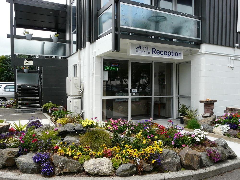 Alpha Motor Inn パーマストンノース エクステリア 写真